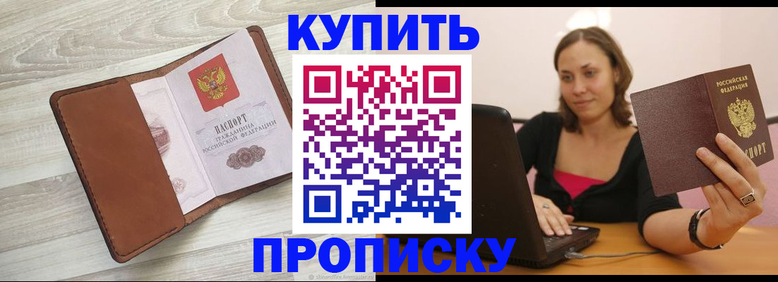 временная прописка в Михайловке
